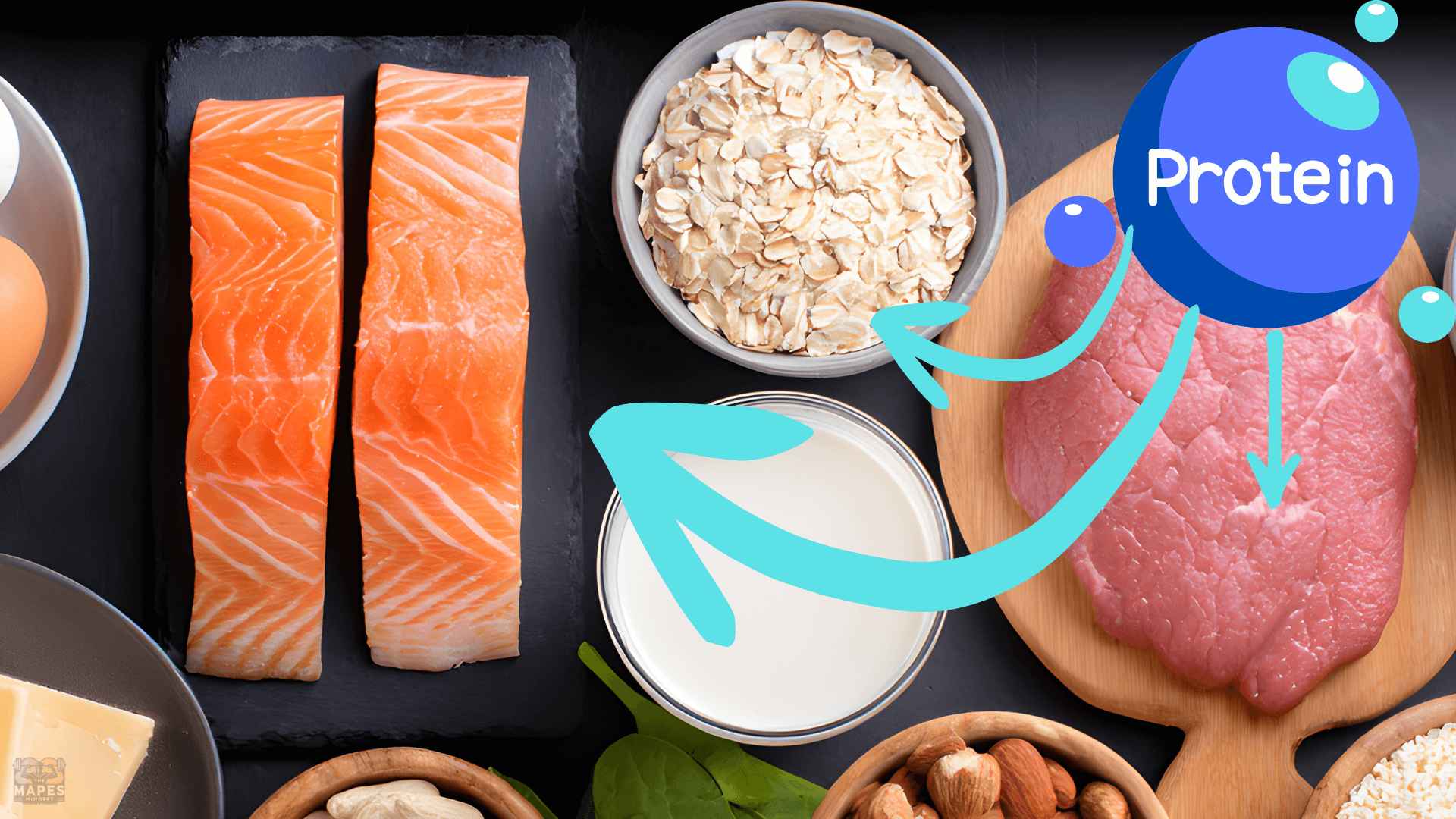 some examples of protein-a beginner's guide to protein